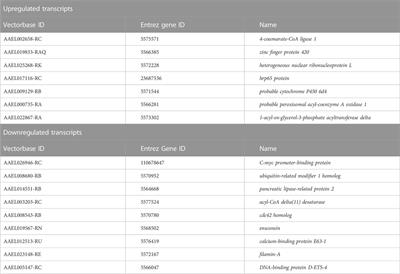 Transcriptomics analysis of ethanol treatment of male Aedes aegypti reveals a small set of putative radioprotective genes